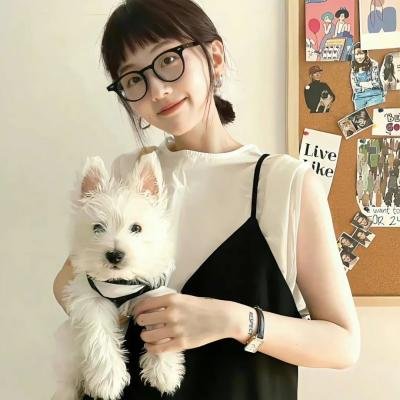 纽约遇到爱